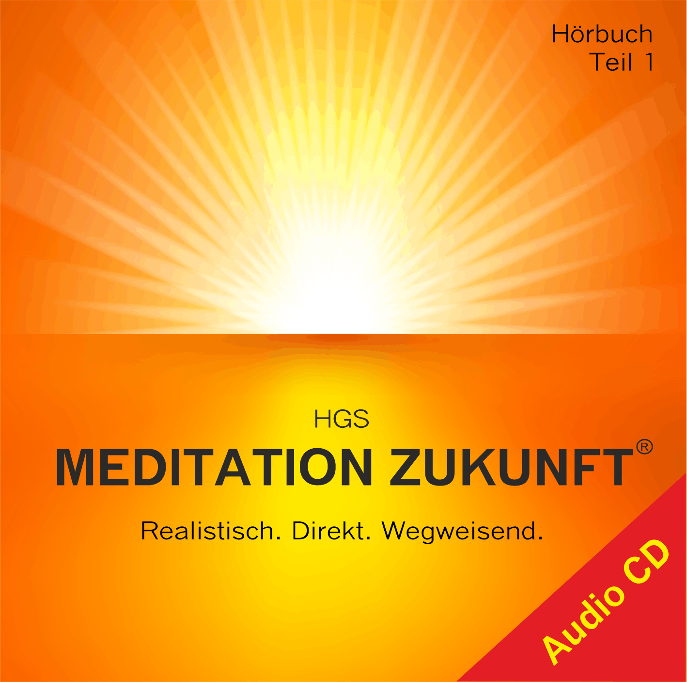 Hörbuch HGS Meditation Zukunft Teil 1 Audio-CD Hauptwerk