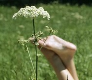 Autogenes Training Stufe 2, autogene Entspannung Stufe 2, Entspannungstechniken, persönliche Gespräche, Gesprächstherapie, miteinander Reden, Meditation Zukunft, Wege in die Zukunft Erregungszustände meistern, Sprachschwierigkeiten abbauen, Rede- und Prüfungsängste überwinden, Fingernägel kauen, lustlos, den Gipfel der Lust erreichen, Orgasmusstörungen, Raucherentwöhnung